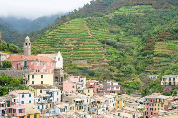 View to city, belltower and green mountains of Vernazza — Stock Photo, Image