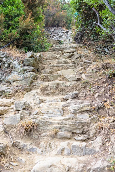 Dagsljus Visa till sten trappor för klättring bergen i Vernazza — Stockfoto