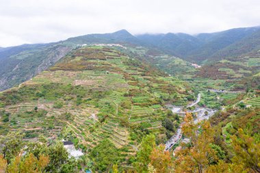 Güzel görünüm Manarola dağ ve deniz bir parçası '
