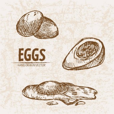 Dijital vektör Hat sanatı bölünmüş ayrıntılı