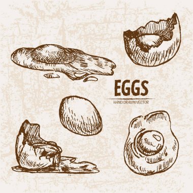 Dijital vektör Hat sanatı bölünmüş ayrıntılı