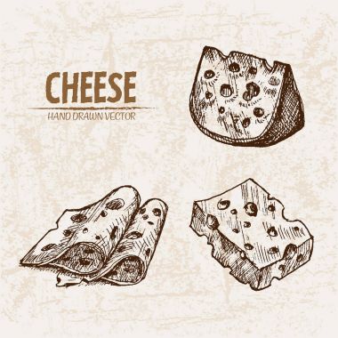 Dijital vektör Hat sanatı peyniri dilimlenir ayrıntılı