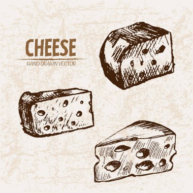 Dijital vektör Hat sanatı peyniri dilimlenir ayrıntılı