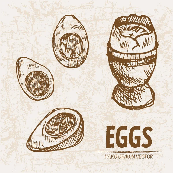 Vector digital línea detallada arte huevo cocido — Vector de stock