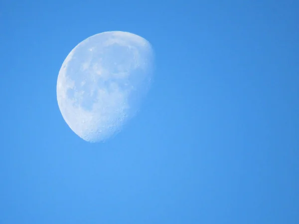 Большая белая луна закрывается над голубым небом вечером — стоковое фото