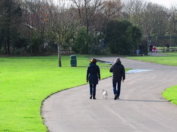 Un hombre y una mujer pareja paseando con un perro pequeño —  Fotos de Stock