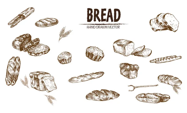 Цифровий вектор детальна лінія мистецтва запеченого хліба — стоковий вектор