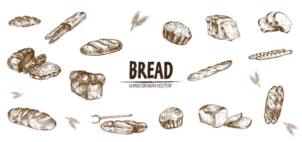 Ψηφιακή διάνυσμα λεπτομερείς τέχνης γραμμή ψημένο ψωμί — Διανυσματικό Αρχείο