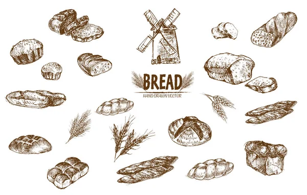 Ψηφιακή διάνυσμα λεπτομερείς τέχνης γραμμή ψημένο ψωμί — Διανυσματικό Αρχείο