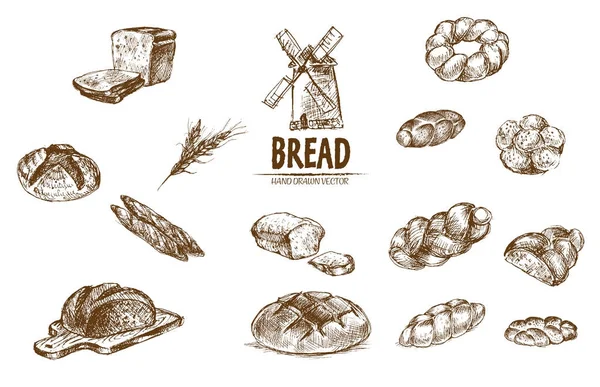 Digital vector detailed line art baked bread — Stock Vector