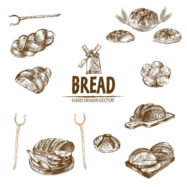 Digital vector detailed line art baked bread — Stock Vector