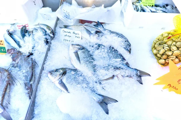 Pesce dorado fresco sul ghiaccio in vendita con segni di prezzo nel marchio locale — Foto Stock