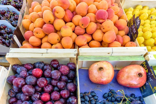 Alperces, ameixas, uvas, maçãs, cerejas e romãs, frescos — Fotografia de Stock