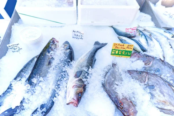 Verse vis op het ijs te koop met prijs ondertekent op lokale markt — Stockfoto