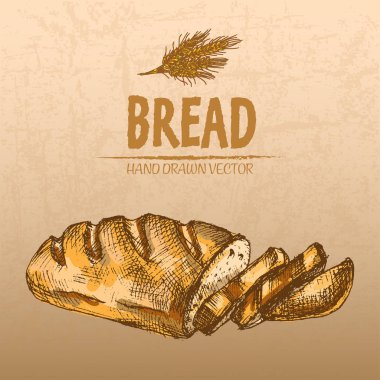 Dijital renkli vektör hat sanat taze ayrıntılı