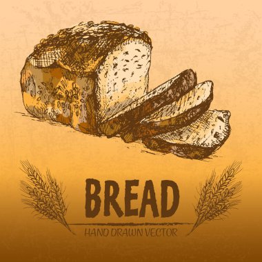 Dijital renkli vektör hat sanat ekmek ayrıntılı