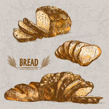 Dijital renkli vektör Hat sanatı altın ayrıntılı