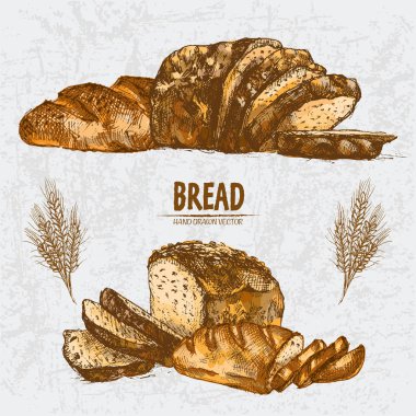 Dijital renkli vektör Hat sanatı altın ayrıntılı