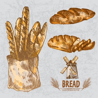 Dijital renkli vektör Hat sanatı altın ayrıntılı