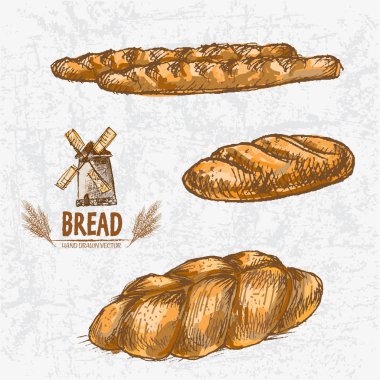 Dijital renkli vektör Hat sanatı altın ayrıntılı