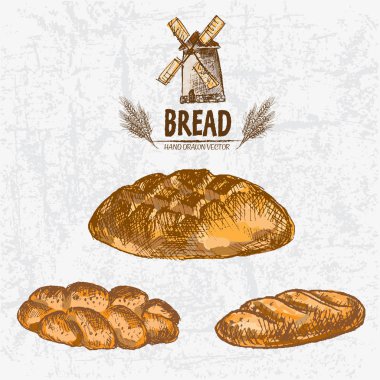 Dijital renkli vektör Hat sanatı altın ayrıntılı