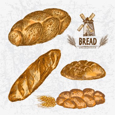 Dijital renkli vektör Hat sanatı altın ayrıntılı