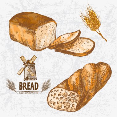 Dijital renkli vektör Hat sanatı altın ayrıntılı