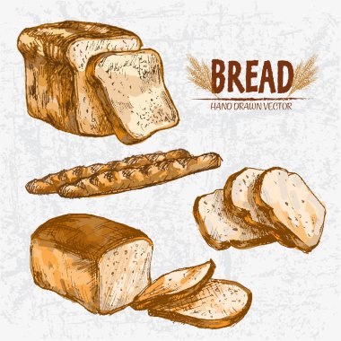 Dijital renkli vektör Hat sanatı altın ayrıntılı