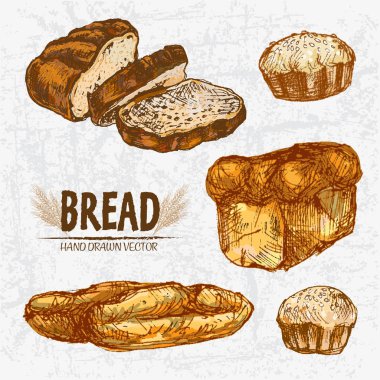 Dijital renkli vektör Hat sanatı altın ayrıntılı