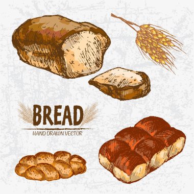 Dijital renkli vektör Hat sanatı altın ayrıntılı