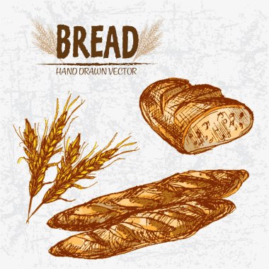 Dijital renkli vektör Hat sanatı altın ayrıntılı