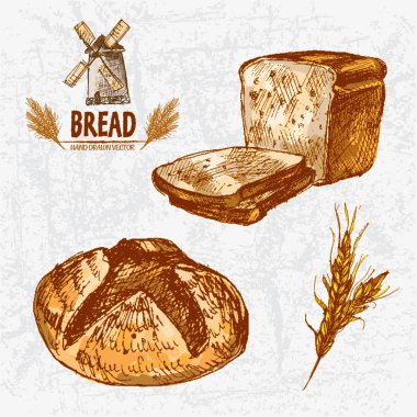 Dijital renkli vektör Hat sanatı altın ayrıntılı