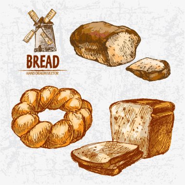 Dijital renkli vektör Hat sanatı altın ayrıntılı