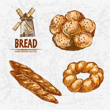 Dijital renkli vektör Hat sanatı altın ayrıntılı