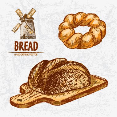 Dijital renkli vektör Hat sanatı altın ayrıntılı