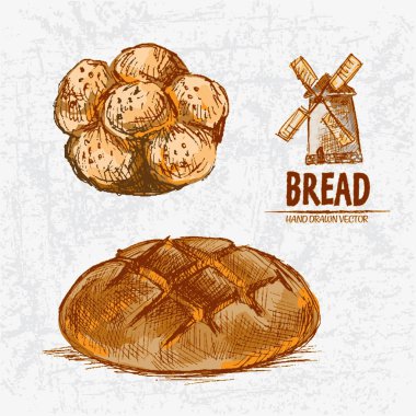 Dijital renkli vektör Hat sanatı altın ayrıntılı