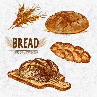 Dijital renkli vektör Hat sanatı altın ayrıntılı