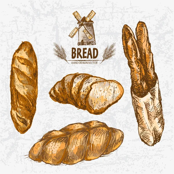 Dijital renkli vektör Hat sanatı altın ayrıntılı