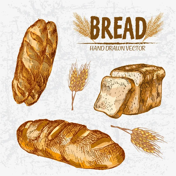 Dijital renkli vektör Hat sanatı altın ayrıntılı