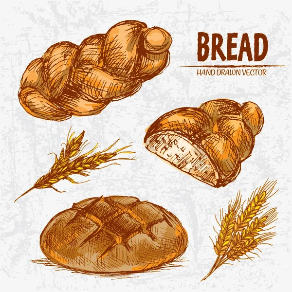 Dijital renkli vektör Hat sanatı altın ayrıntılı