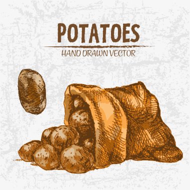 Dijital renkli vektör Hat sanatı altın ayrıntılı