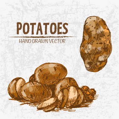 Dijital renkli vektör Hat sanatı altın ayrıntılı