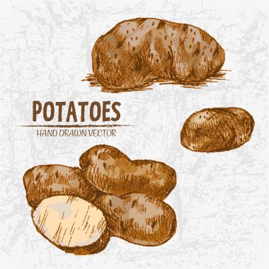 Dijital renkli vektör Hat sanatı altın ayrıntılı