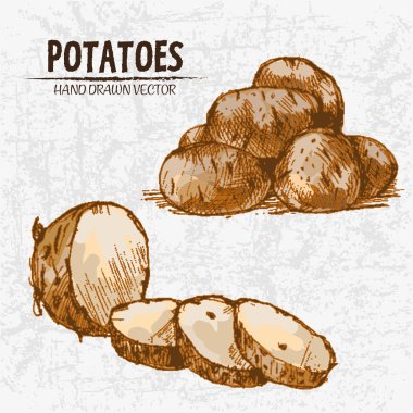 Dijital renkli vektör Hat sanatı altın ayrıntılı