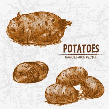 Dijital renkli vektör Hat sanatı altın ayrıntılı