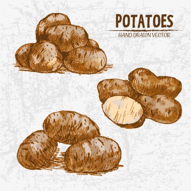 Dijital renkli vektör Hat sanatı altın ayrıntılı