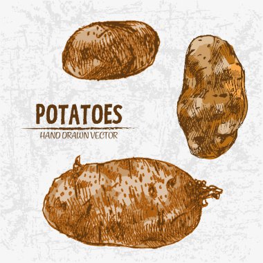 Dijital renkli vektör Hat sanatı altın ayrıntılı