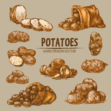 Dijital renkli vektör Hat sanatı altın ayrıntılı