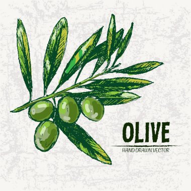 Dijital renkli vektör ayrıntılı satırı sanat taze yeşil