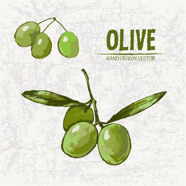 Dijital renkli vektör ayrıntılı satırı sanat taze yeşil